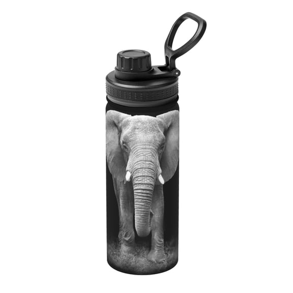 Logiee Indian Elephant Print Water Bottle,18oz Sports Insulated Kettle for Cycling Gym Basketball Outdoor, Suitable as a Present