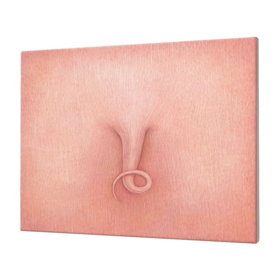 Logiee Pig'S Tail Print Canvas Wall Art,Canvas Picture Prints with Frame, Wall Art Decorative,Canvas Decorative,Suitable for Living Room Bedroom Office Room 30x40