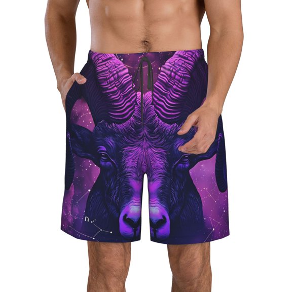 Logiee Purple Starry Sky Antelope Print Mens Swim Trunks Quick Dry Board Shorts,Breathable Hawaii Beach Shorts Swimwear Bathing Suits-X-Large