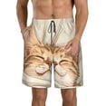 thumbnail image 1 of Logiee Sleeping Cat In Blanket Print Mens Swim Trunks Quick Dry Board Shorts,Breathable Hawaii Beach Shorts Swimwear Bathing Suits-XX-Large, 1 of 6