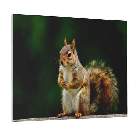 Logiee Squirrels Eating Peanuts On The Tree Print Canvas Wall Art ,Art Poster,Canvas Decorative Picture,Decor Wall Pictures for Living Room Bedroom Bathroom,Ready to Hang