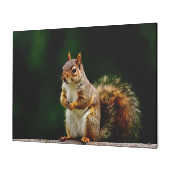 Logiee Squirrels Eating Peanuts On The Tree Print Canvas Wall Art,Canvas Picture Prints with Frame, Wall Art Decorative,Canvas Decorative,Suitable for Living Room Bedroom Office Room 30x40