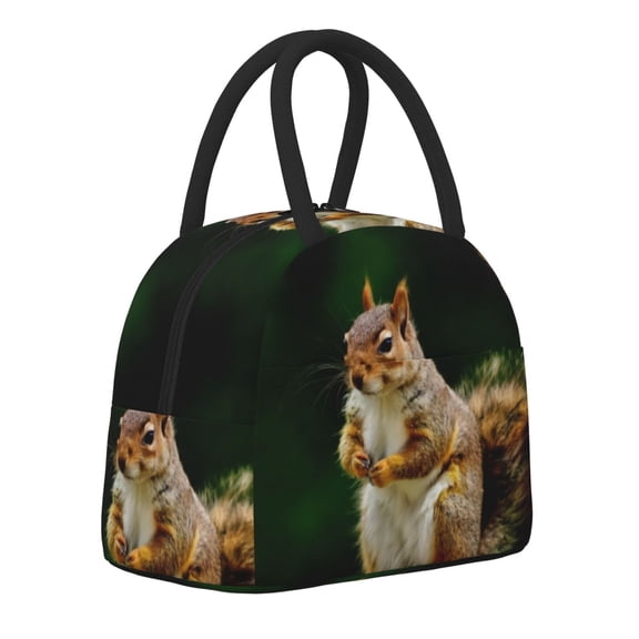 Logiee Squirrels Eating Peanuts On The Tree Print Lunch Bag for Women & Men,Adult Insulated Lunch Box,Food Lunch Containers,Reusable High Capacity Lunch Tote Bags for Work, Travel, Outdoor