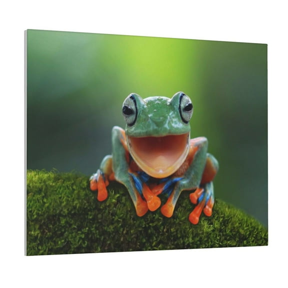 Logiee Tree Frog Print Canvas Wall Art ,Art Poster,Canvas Decorative Picture,Decor Wall Pictures for Living Room Bedroom Bathroom,Ready to Hang