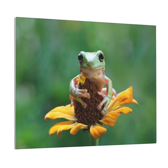 Logiee Tree Frog Sitting On Sunflowes Print Canvas Wall Art ,Art Poster,Canvas Decorative Picture,Decor Wall Pictures for Living Room Bedroom Bathroom,Ready to Hang