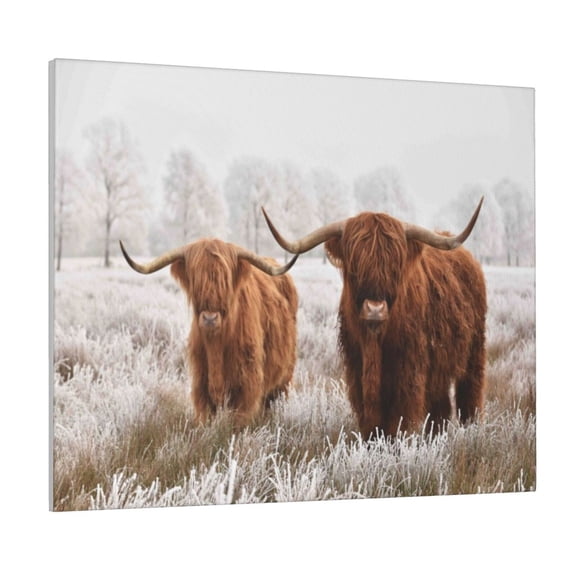 Logiee Yak Print Canvas Wall Art ,Art Poster,Canvas Decorative Picture,Decor Wall Pictures for Living Room Bedroom Bathroom,Ready to Hang
