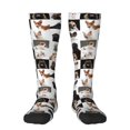 thumbnail image 1 of Logiee dogs pets collage Print Gift Stocking Stuffers,Adult Stockings,Novelty Socks,Funny Socks Birthday Running Walking Sleeping, 1 of 6