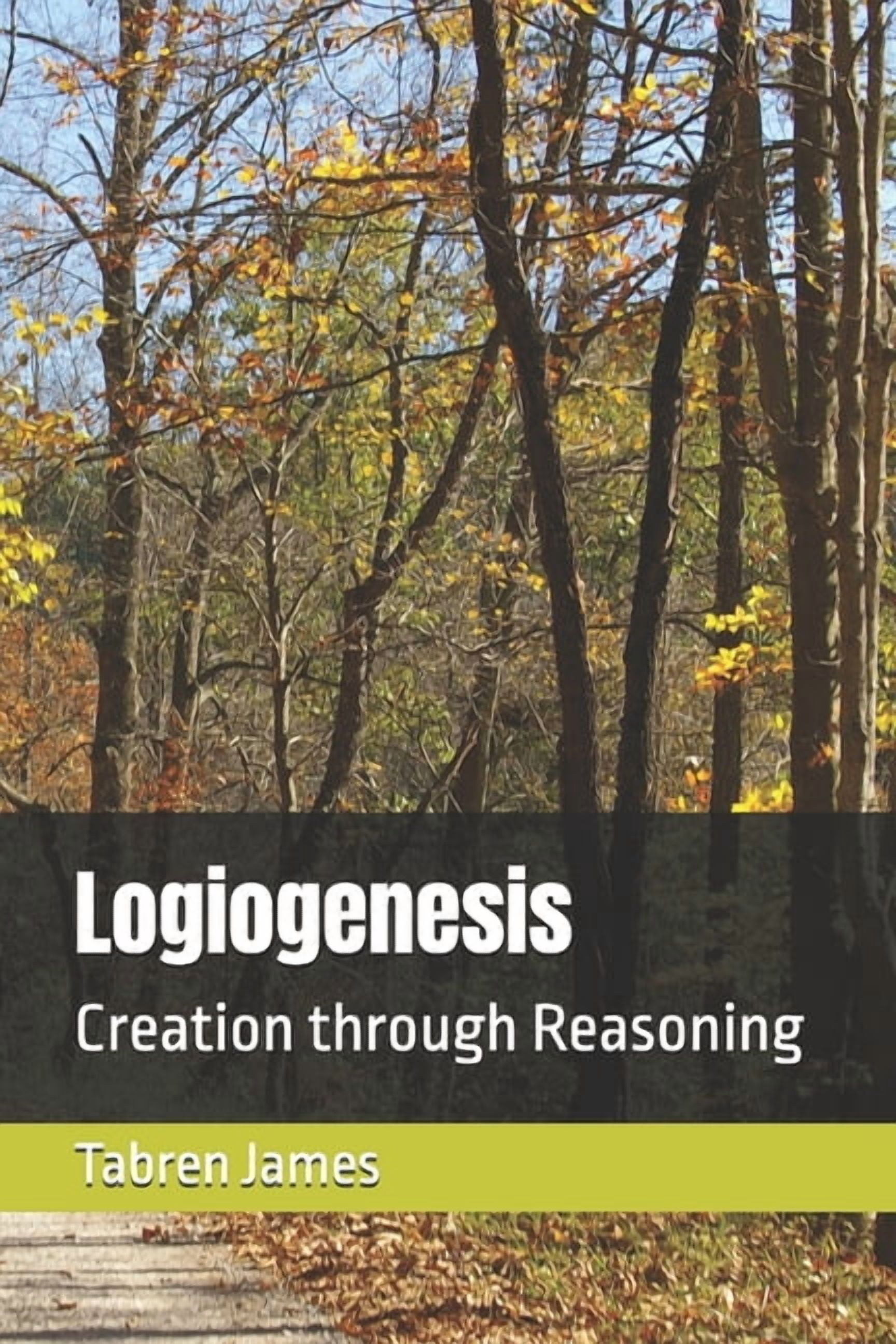 Logiogenesis: Creation through Reasoning, (Paperback)