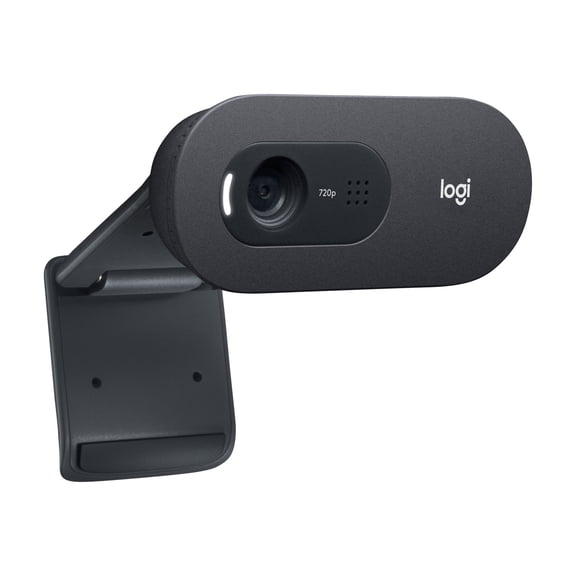 Logitech C505e - Webcam - color - 720p - fixed focal - audio - USB