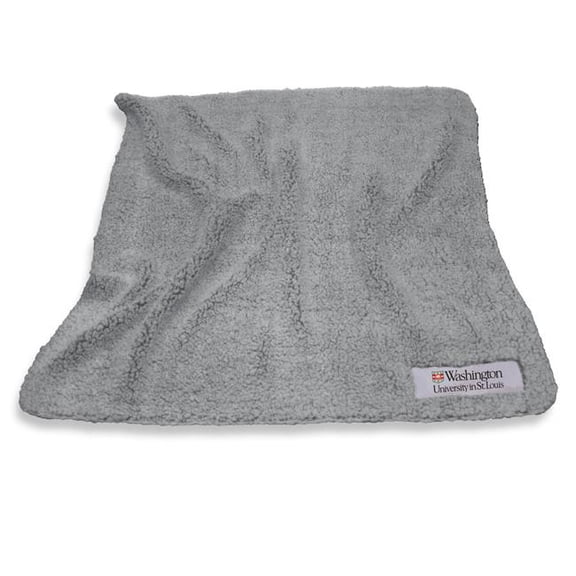 Logo Brands 258-251-C1 Washington U St. Louis Color Frosty Fleece