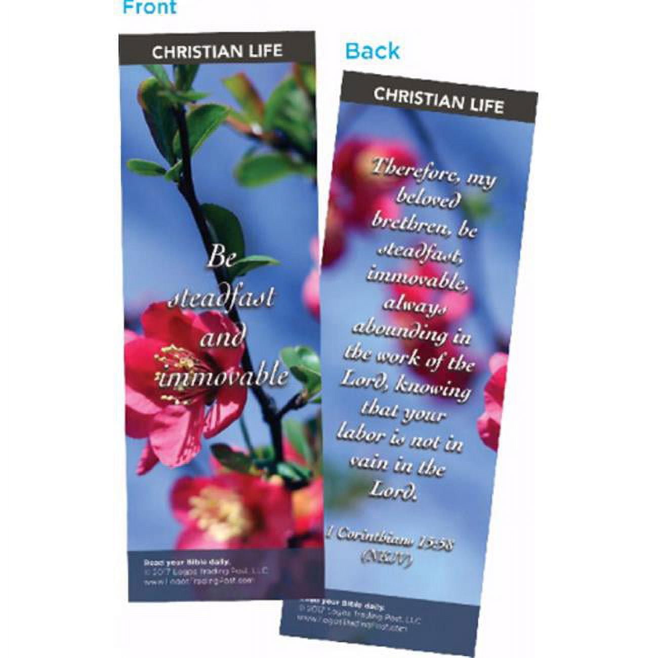 Logos Trading Post 15229X Bible Cards-Be Steadfast-Christian Life, Pack of 25