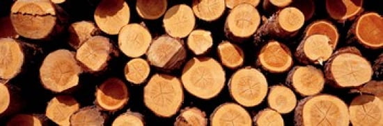 Logs Canvas Art - Panoramic Images (36 x 12)