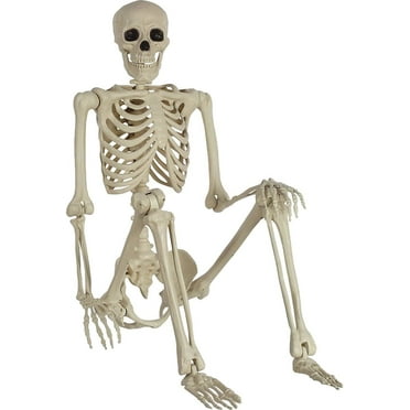 2PCS Halloween Body Realistic Faux Human Skeleton Halloween Decoration Plastic Haunted House Props,16inches