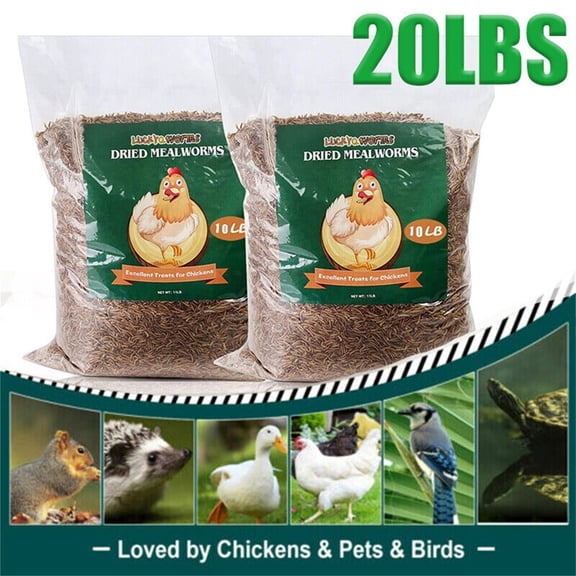 Lohoms Bulk Dried Mealworms 20 LBS, Meal Worms for Chickens, Ducks, Geese, Wild Birds