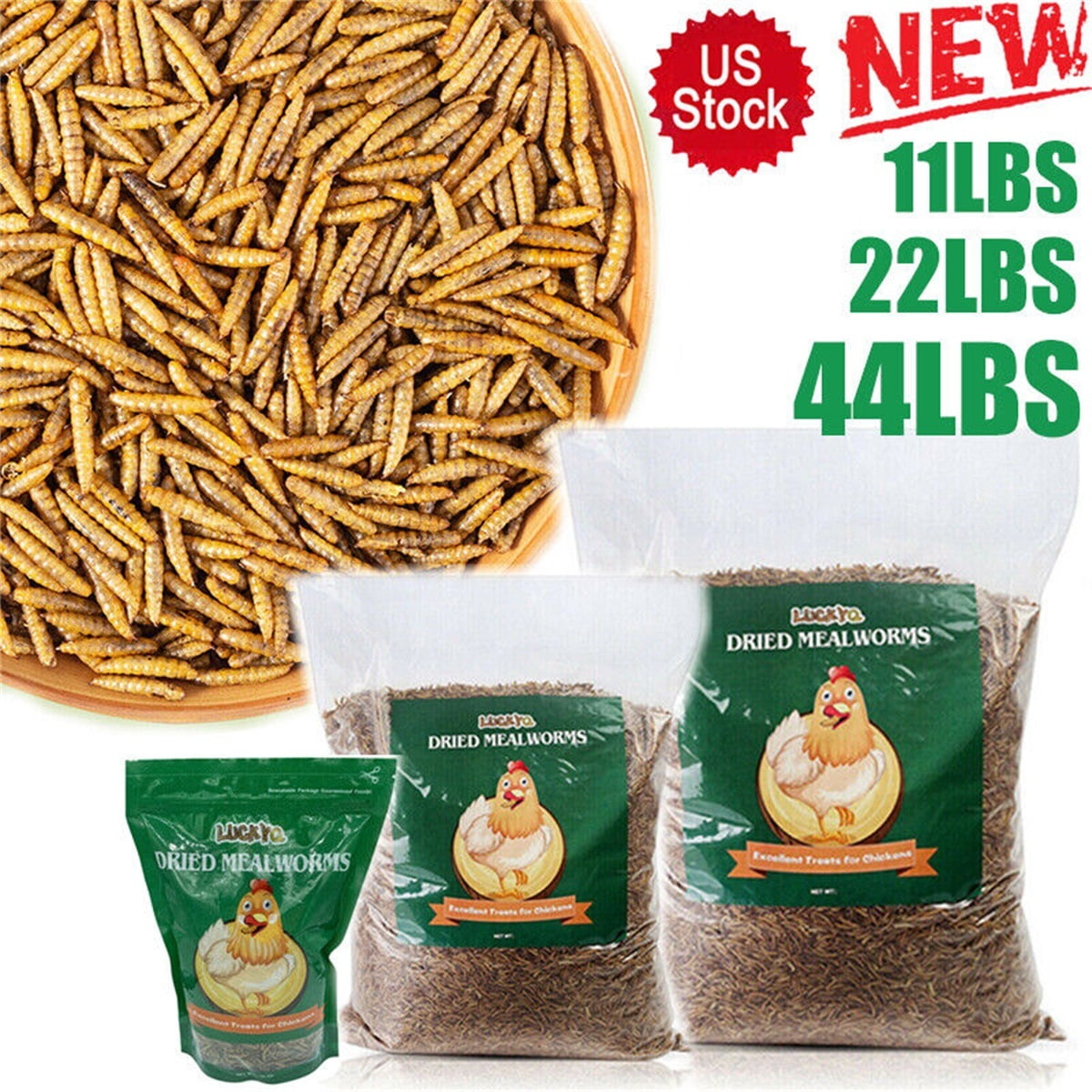 Lohoms Organic Mealworms 44 LBS High Protein, NonGMO Feed for