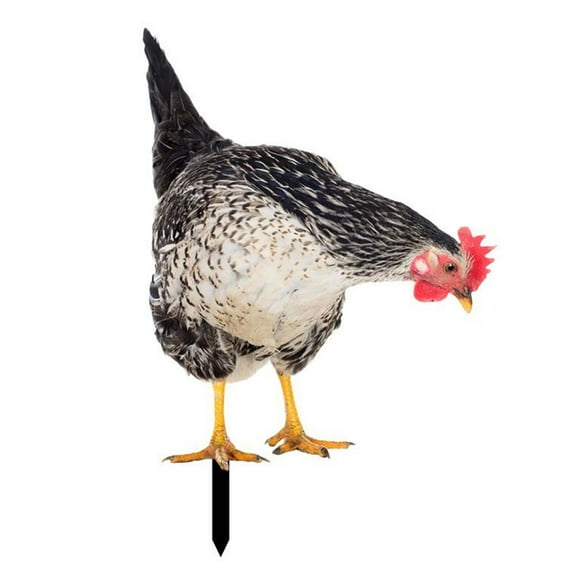 Lohuatrd Rooster Decor Realistic Life-like Ornamental Double-sided Printing Acrylic Garden Statue Chicken for Yard