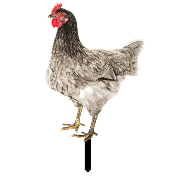 Lohuatrd Rooster Decor Realistic Life-like Ornamental Double-sided Printing Acrylic Garden Statue Chicken for Yard