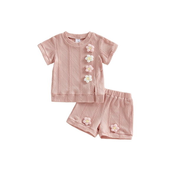 Loicainy Toddler Baby Girl Summer Outfit 6 12 18 24 Months 2T 3T 4T 3D Flowers Crew Neck Short Sleeve T Shirt Tops and Shorts 2 Pcs Clothes Set