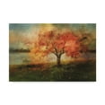 thumbnail image 1 of Lois Bryan 'Cherry Tree Sprinkled with Spring' Canvas Art, 1 of 3