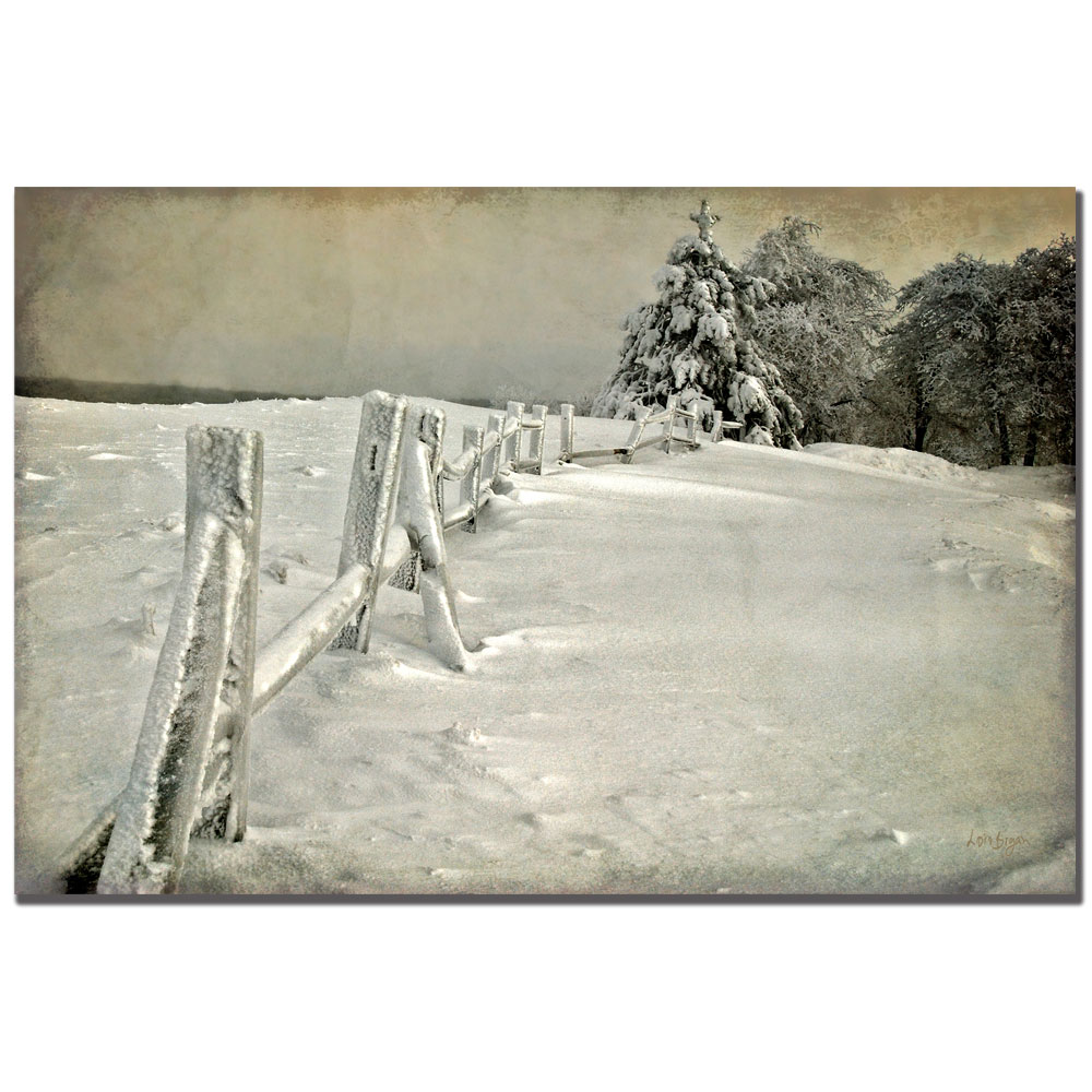 Lois Bryan 'Mother Nature's Christmas Tree' Canvas Art