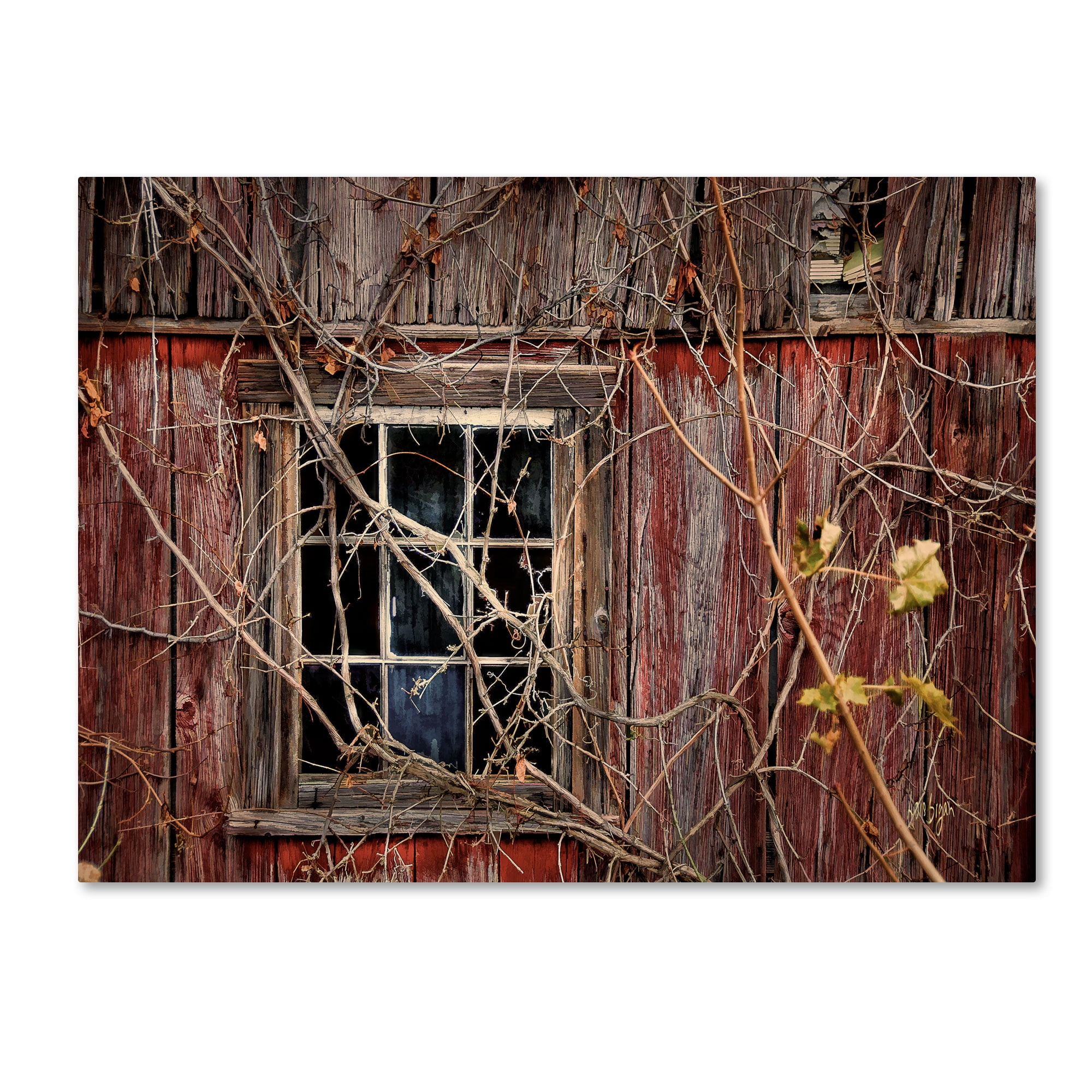 Lois Bryan 'Old Barn Window' Canvas Art