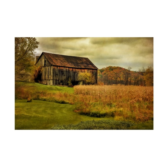 Trademark Fine Art Lois Bryan Old Barn on Rainy Day Canvas Wall Art - 16x24