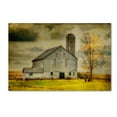 thumbnail image 1 of Lois Bryan 'Old Barn on Stormy Afternoon' Canvas Art, 1 of 4