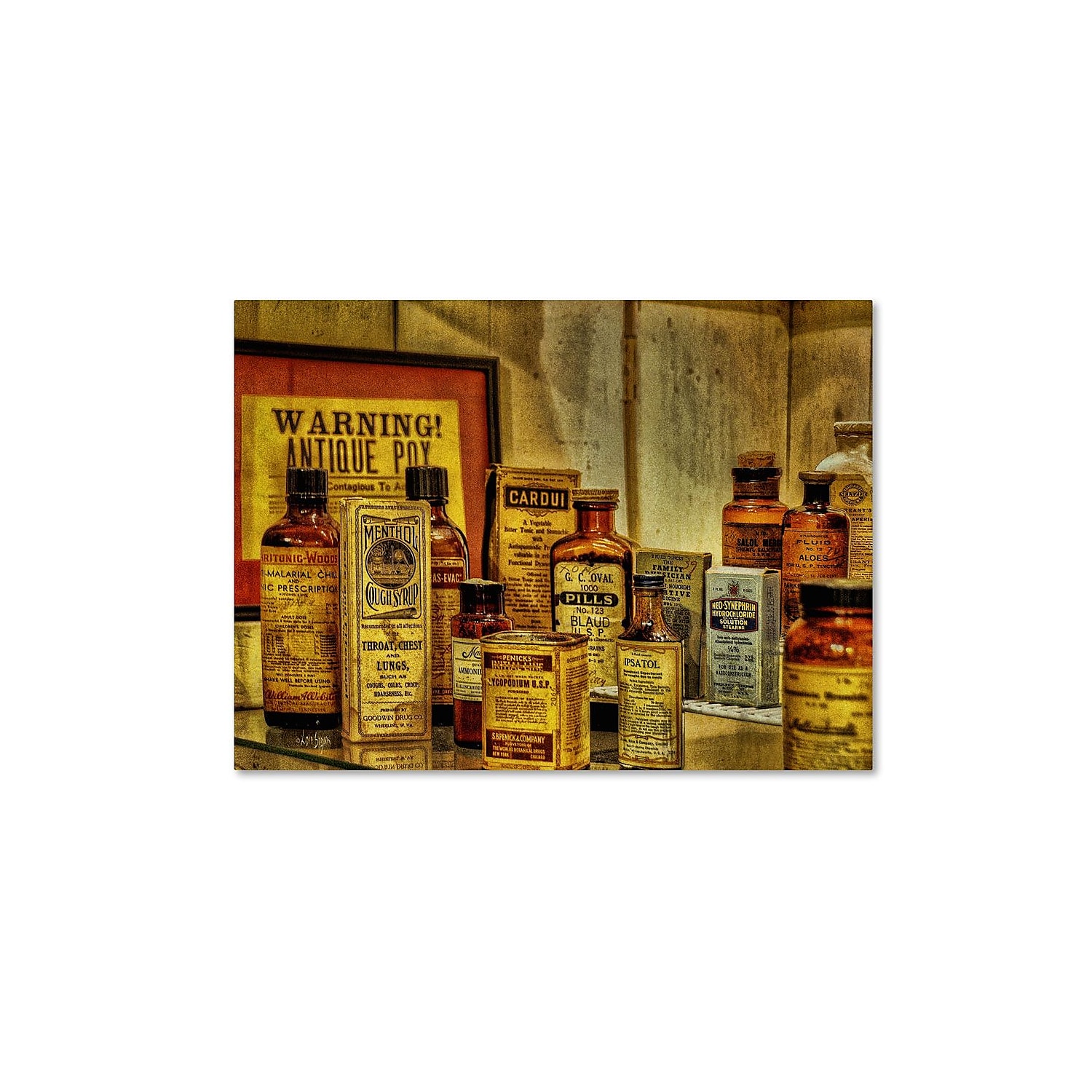 Vintage Medicine Bottles Canvas Art in 32" x 24" Size