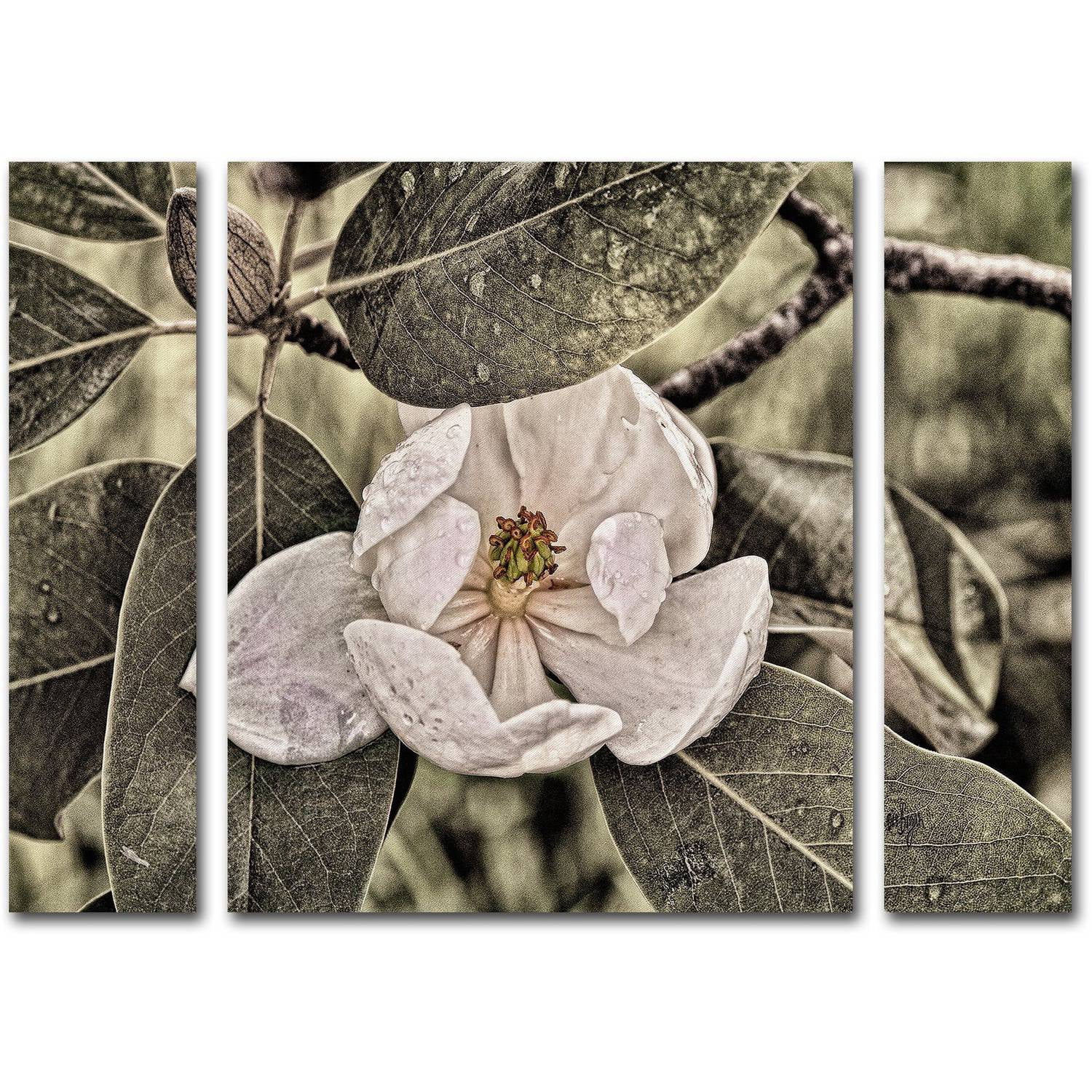 Lois Bryan "White Magnolia" Multi Panel Art Set