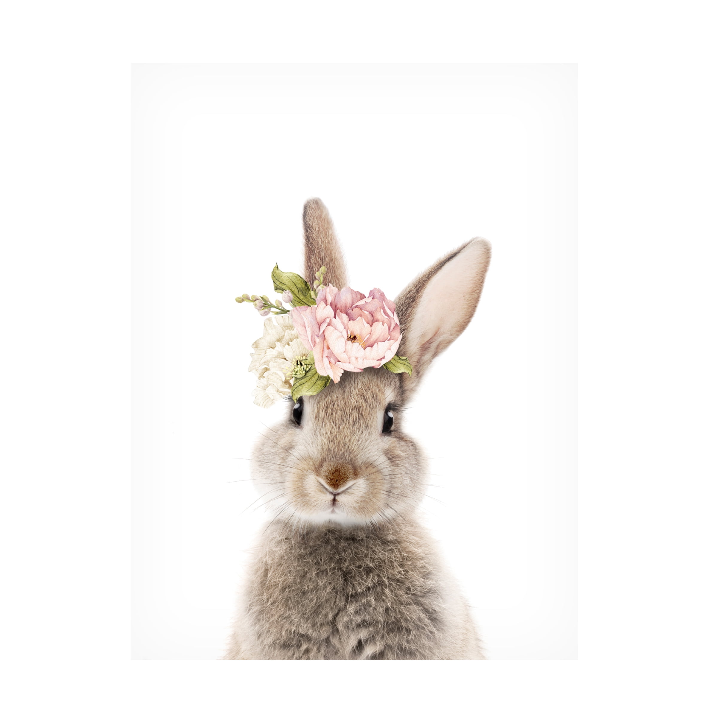Lola Peacock 'Floral Bunny' Canvas Art