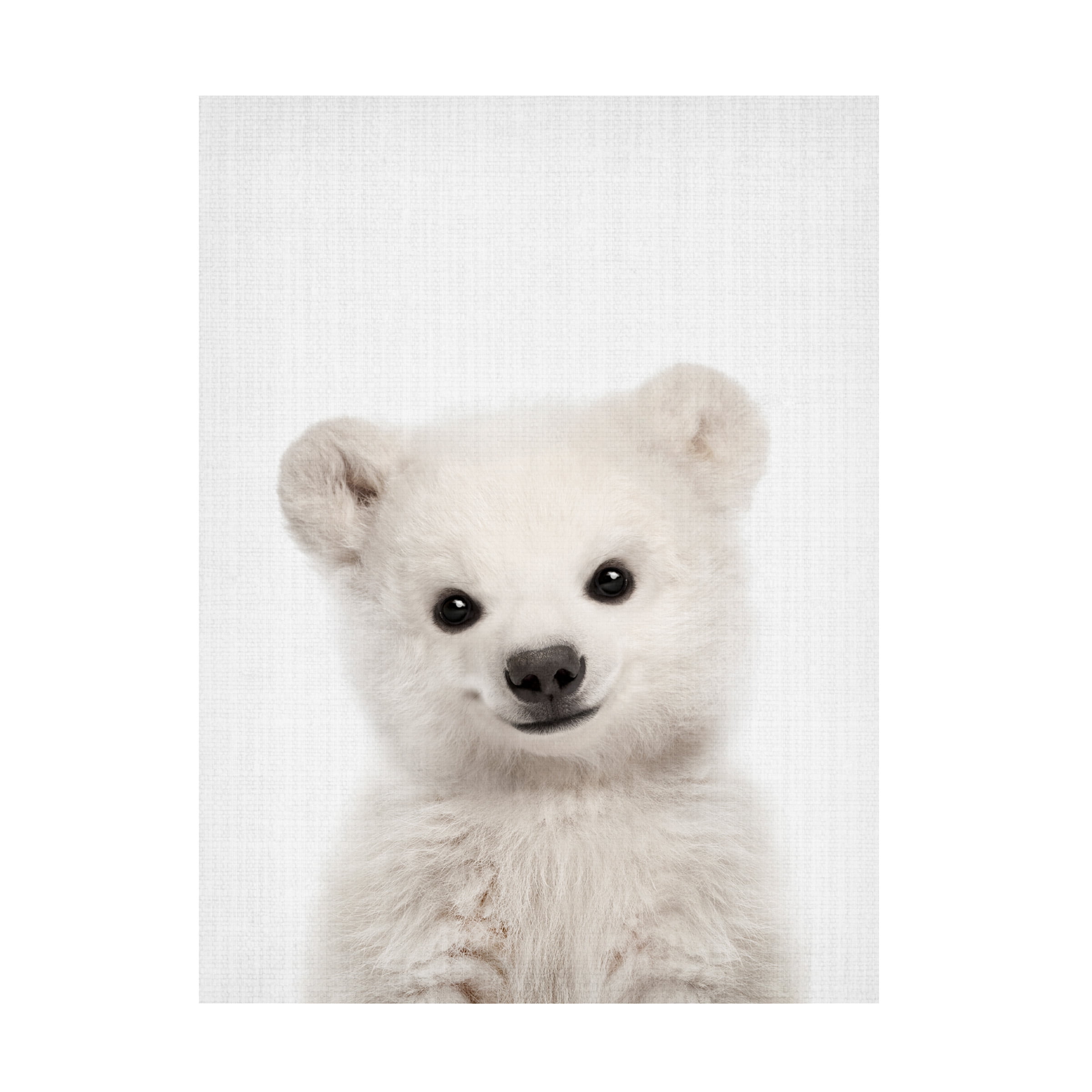 Lola Peacock 'Peekaboo Baby Polar Bear' Canvas Art