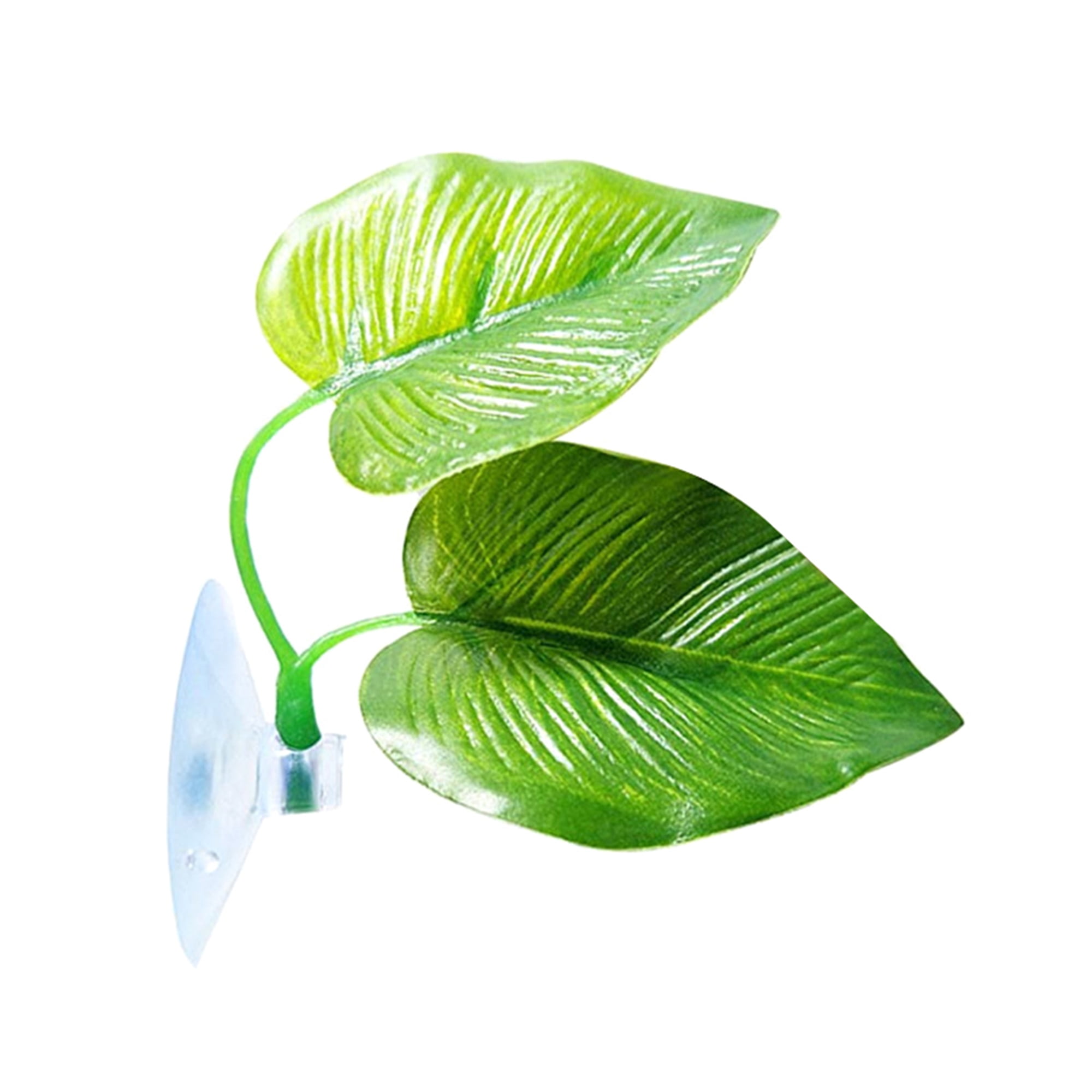 Superfish Betta Bed - voor de mooiste aquariumplanten en producten