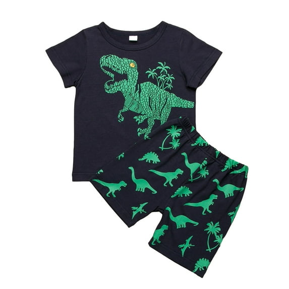 Loliuicca Kids Boys Short Sleeve Dinosaur Print T-Shirts Tops Short Pants