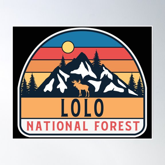 Lolo National Forest Poster Wall Art, Modern Wall Decor, 16x24 UNFRAMED