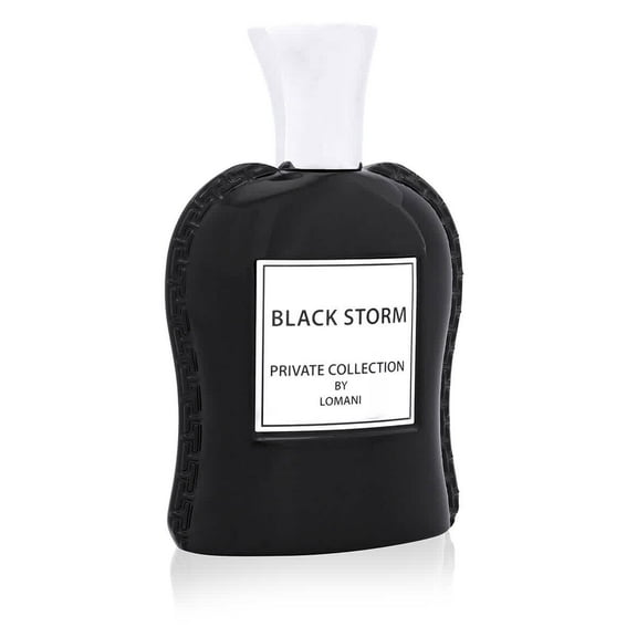 Lomani Unisex Black Storm EDP Spray 3.4 oz Fragrances 3610400036799