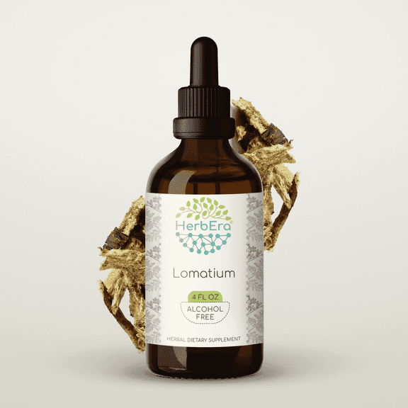 HerbEra Lomatium Tincture, Herbal Dietary Supplement for Immune Support, Lomatium (Lomatium dissectum) Dried Root Extract, Natural, Alcohol-Free, Drops 4 oz