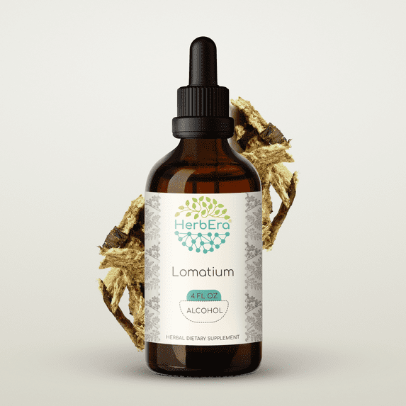 Lomatium Alcohol Herbal Extract Tincture, Super-Concentrated Responsibly farmed Lomatium (Lomatium Dissectum) Dried Root 4 oz