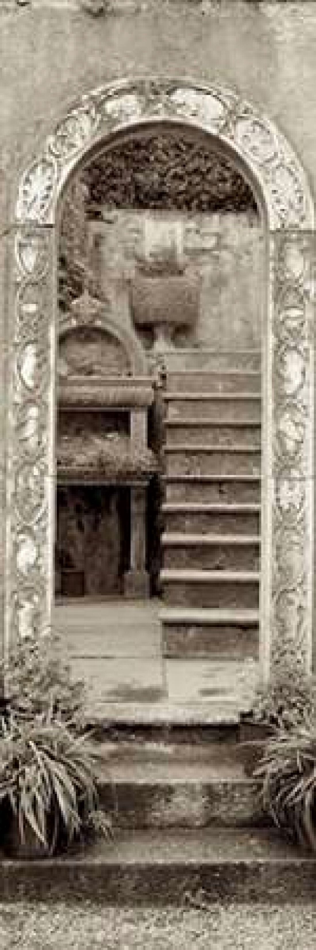 Lombardy - 5 Canvas Art - Alan Blaustein (8 x 24)