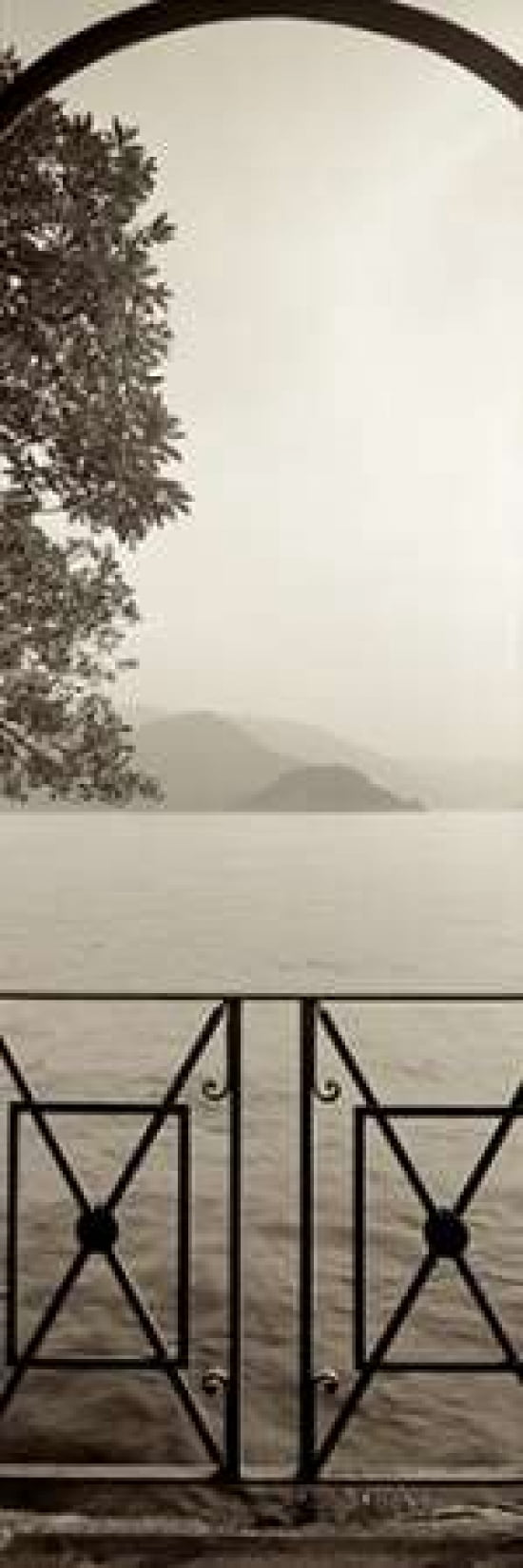 Lombardy - 6 Canvas Art - Alan Blaustein (12 x 36)