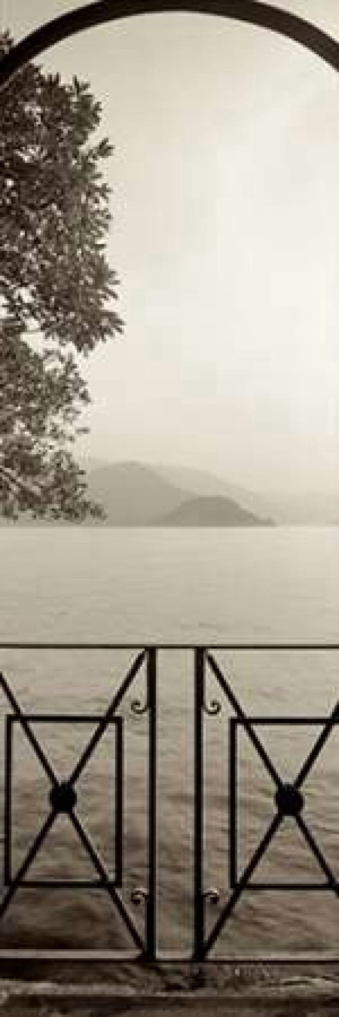 Lombardy - 6 Canvas Art - Alan Blaustein (8 x 24)