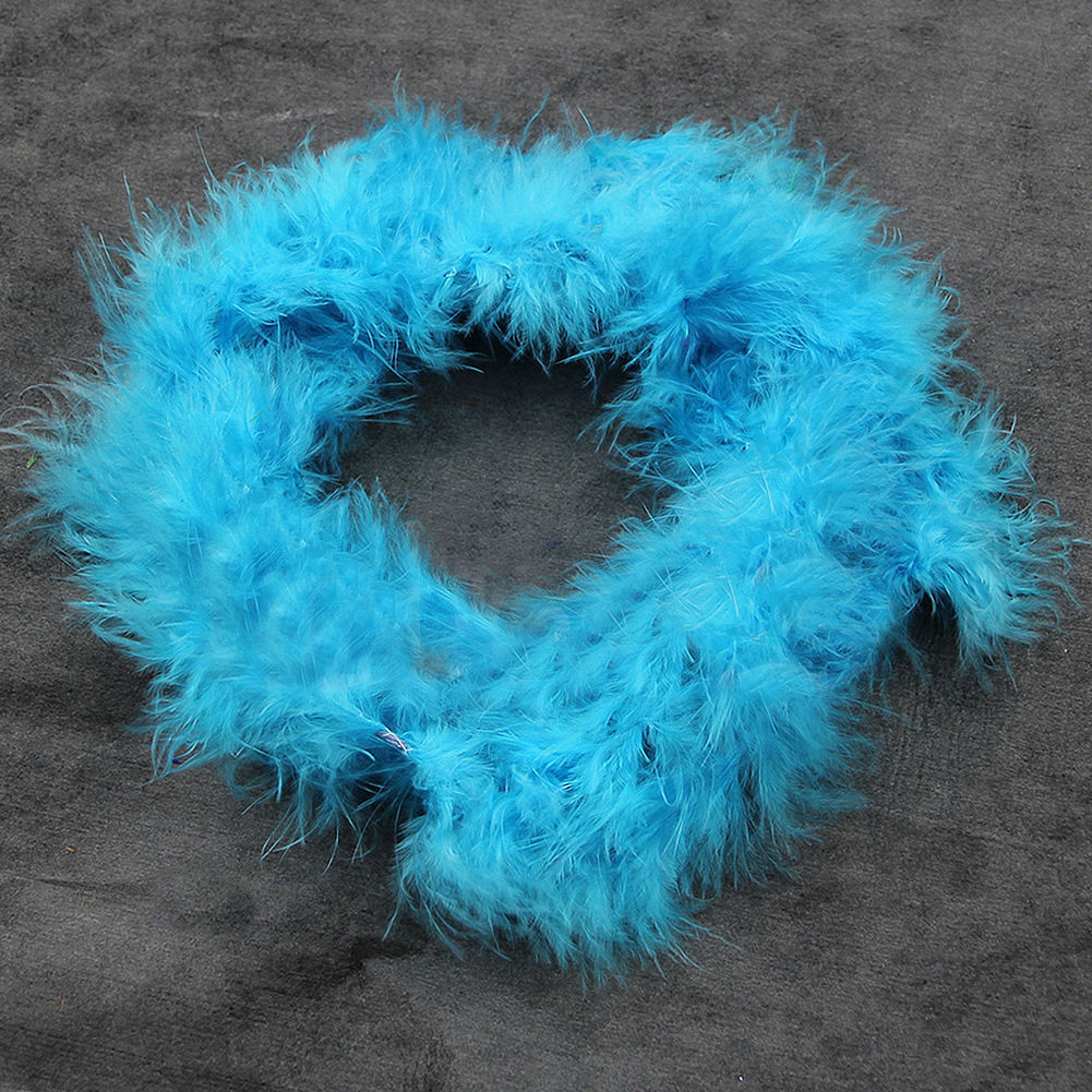 Lomubue 2M Feather Boa Strip Fluffy Craft Costume Hen Night Dressup Lomubue 2M Feather Boa Strip Fluffy Craft Costume Hen Night Dressup
