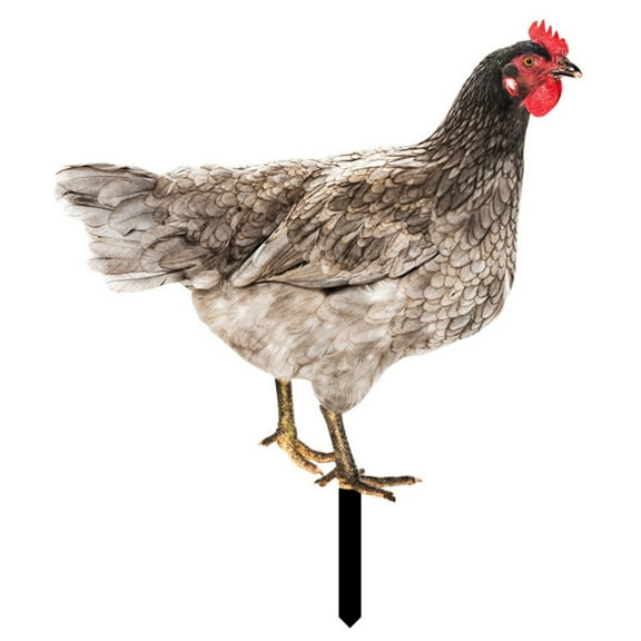 Lomubue Rooster Decor Realistic Life-like Ornamental Double-sided Printing Acrylic Garden Statue Chicken for Yard