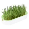 Lona Cat Grass Planting Box Set Hydroponic Chewing Plant Growing Set