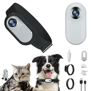 Dog collar nanny cam best sale