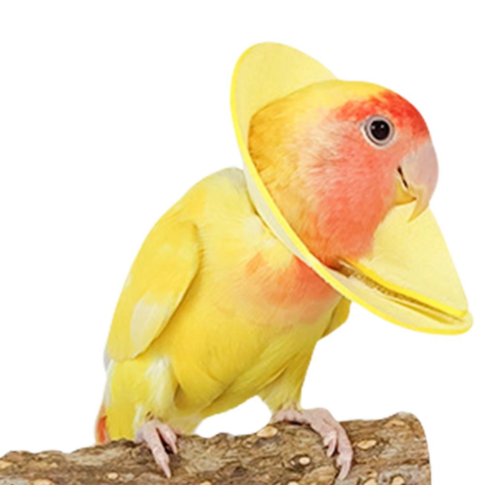 Lona Parrot Anti Bite Collar Breathable Bird Elizabethan Collar ...