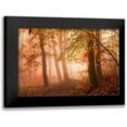 thumbnail image 1 of Londal, Leif 14x11 Black Modern Framed Museum Art Print Titled - Calm Walk In Colors., 1 of 5