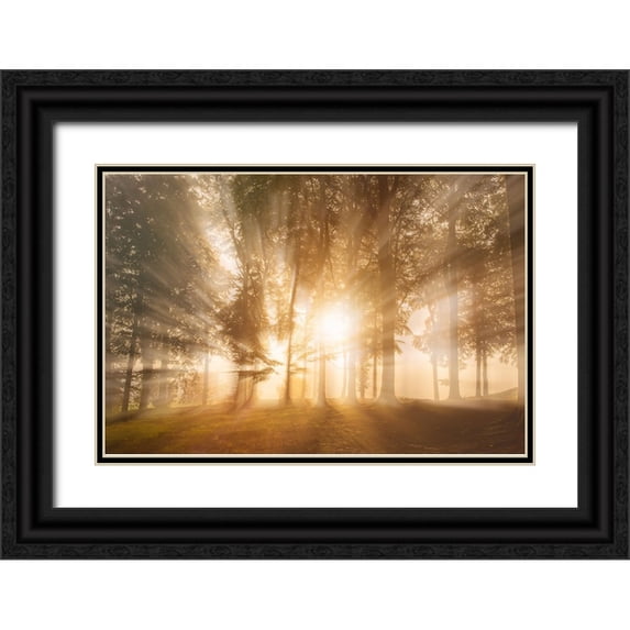 Londal, Leif 32x23 Black Ornate Wood Framed with Double Matting Museum Art Print Titled - Blinded by the light
