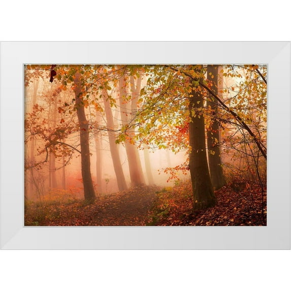 Londal, Leif 32x23 White Modern Wood Framed Museum Art Print Titled - Calm Walk In Colors.