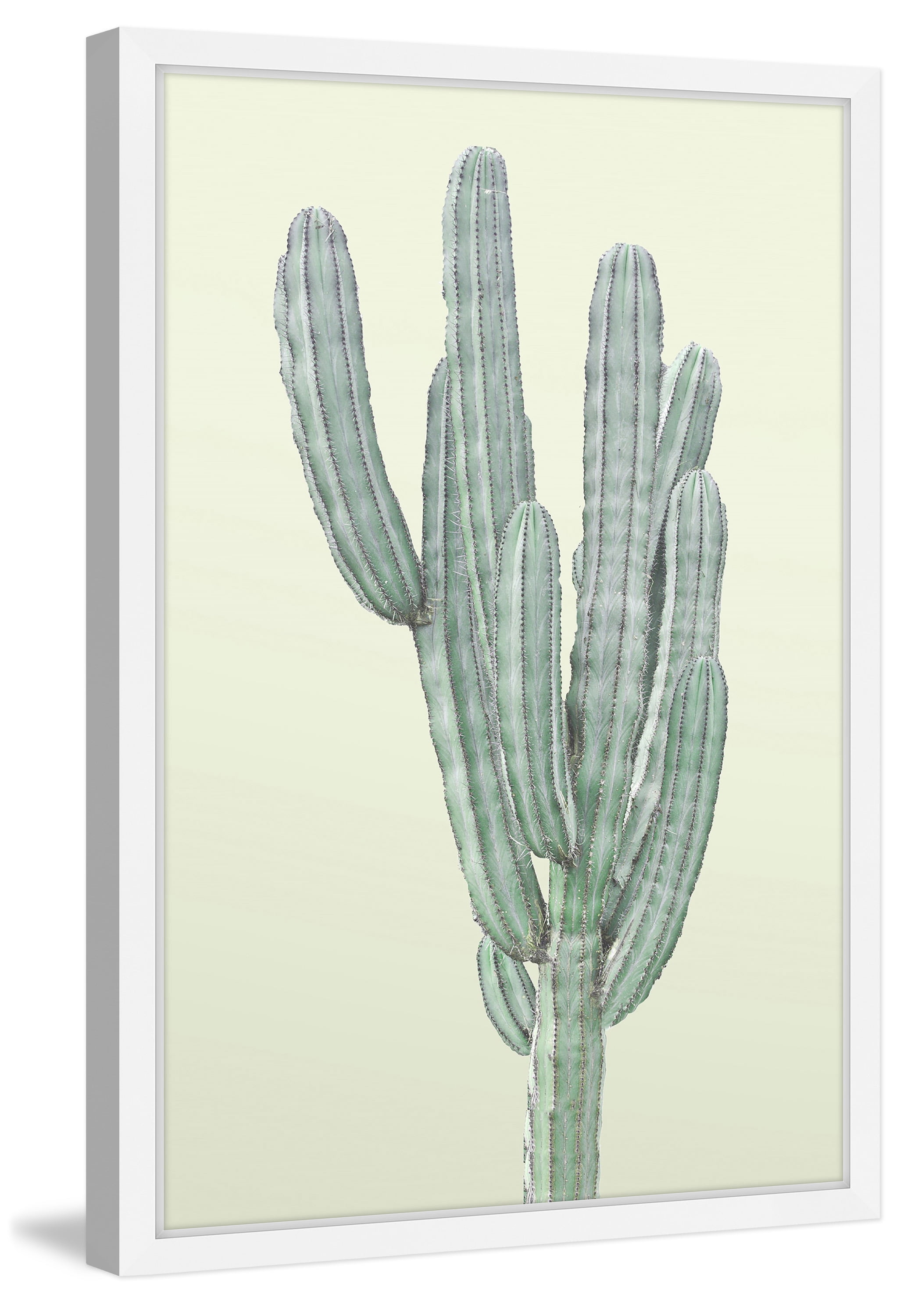 Lone Cactus Framed Painting Art Print