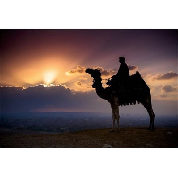 A Lone Camel & Rider Stand in Front of The Setting Sun with The Giza Cityscape Behind Them - Giza Egypt Poster Print by Matt Brandon - 38 x 24 - Large
